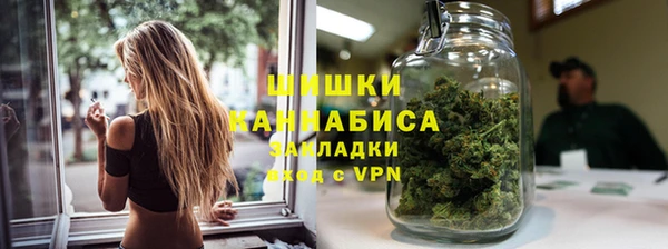 прущие грибы Каменногорск