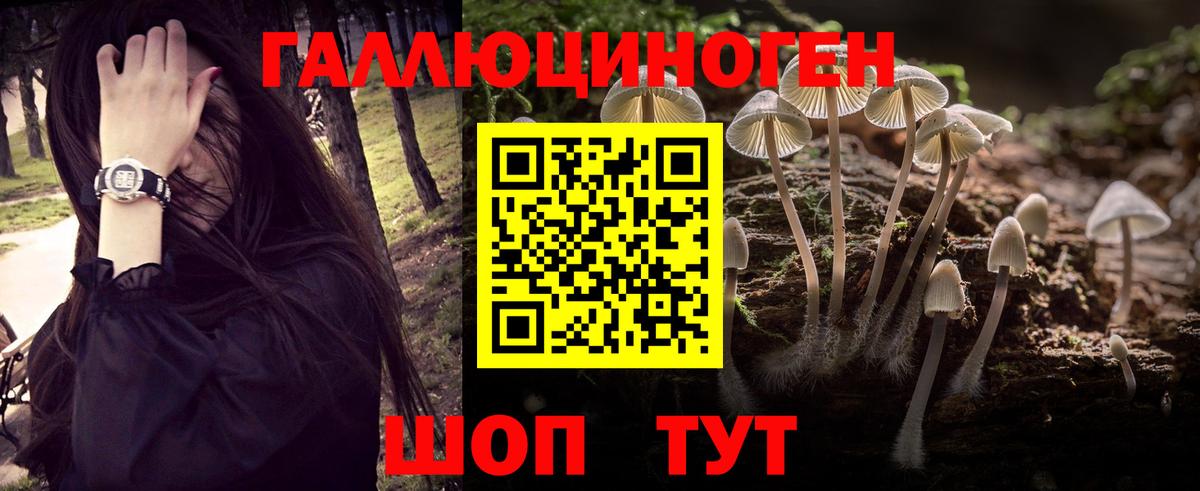 Тейково  Галлюциногенные грибы MAGIC MUSHROOMS  Псилоцибиновые грибы прущие грибы  Вход с VPN 